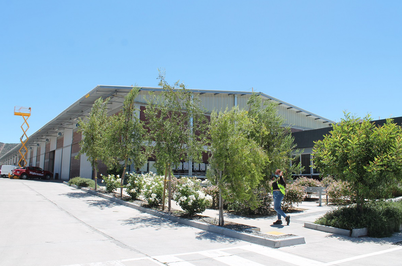 El desafío de desarrollar un paisajismo sustentable