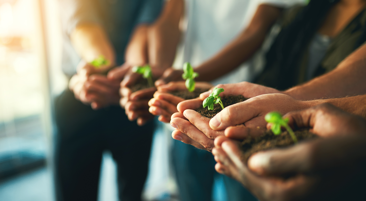 Banner sostenibilidad